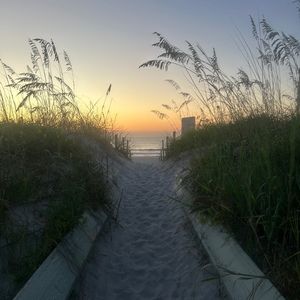 Meet your Posher, Casey